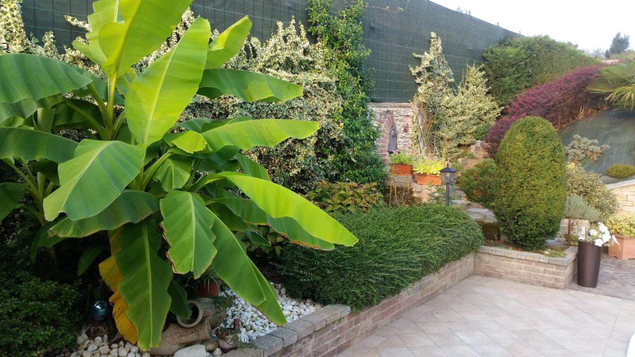Villa Laura B&B Fossano Zewnętrze zdjęcie
